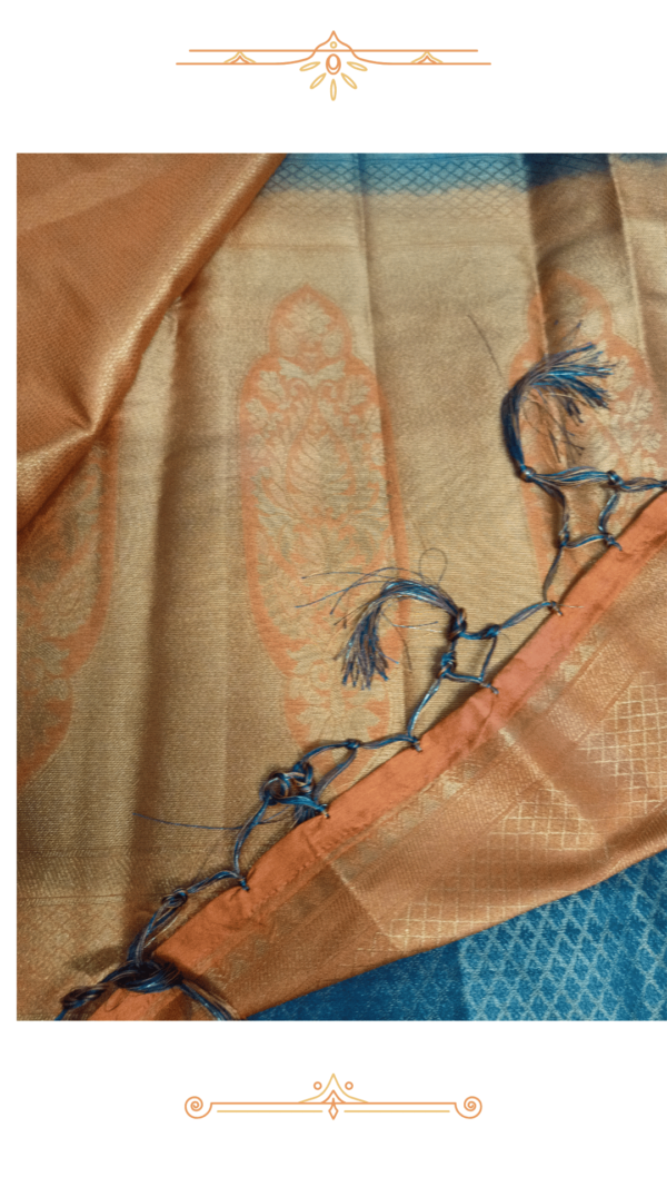 Inside saree