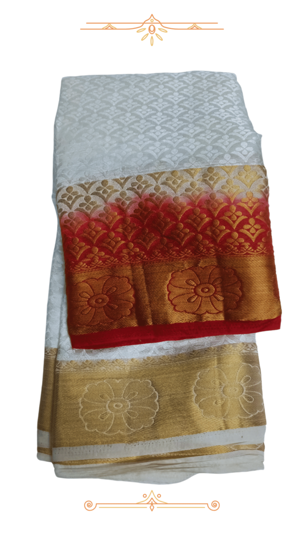 Red & gold woven border on Banarasi silk saree.
